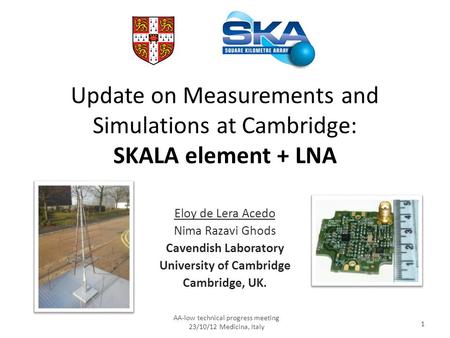 Update on Measurements and Simulations at Cambridge: SKALA element + LNA Eloy de Lera Acedo Nima Razavi Ghods Cavendish Laboratory University of Cambridge.