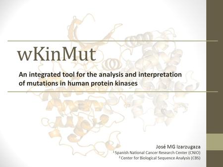 WKinMut An integrated tool for the analysis and interpretation of mutations in human protein kinases José MG Izarzugaza 1 Spanish National Cancer Research.