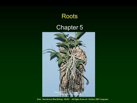 Roots Chapter 5 Copyright © McGraw-Hill Companies Permission