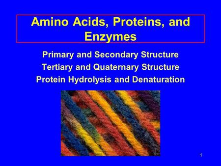 1 Amino Acids, Proteins, and Enzymes Primary and Secondary Structure Tertiary and Quaternary Structure Protein Hydrolysis and Denaturation.