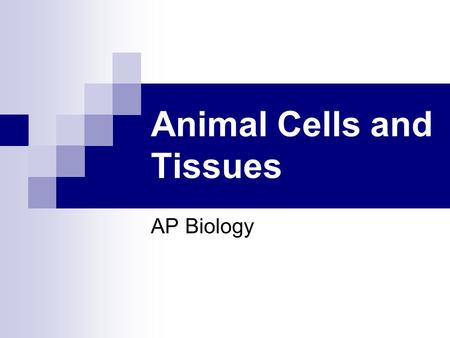 Animal Cells and Tissues
