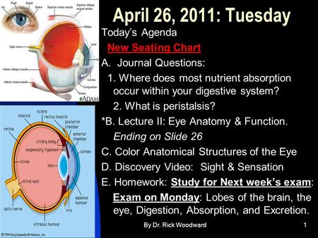 4/30/2015By Dr. Rick Woodward1 April 26, 2011: Tuesday Today’s Agenda New Seating Chart A. Journal Questions: 1. Where does most nutrient absorption occur.
