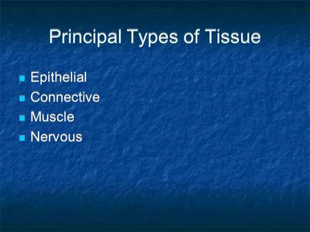 Principal Types of Tissue Epithelial Connective Muscle Nervous Epithelial Connective Muscle Nervous.
