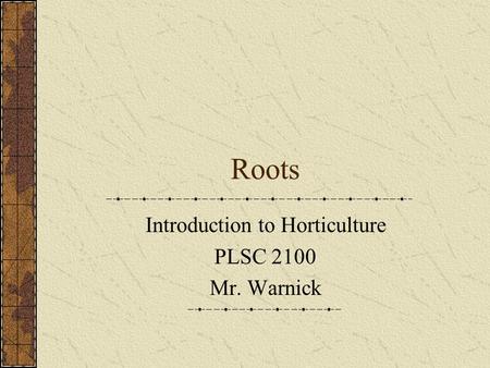 Roots Introduction to Horticulture PLSC 2100 Mr. Warnick.