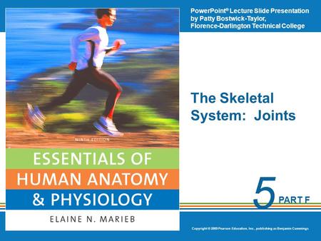 The Skeletal System: Joints