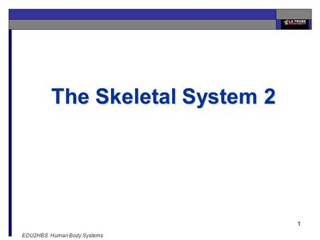 EDU2HBS Human Body Systems 1 The Skeletal System 2.
