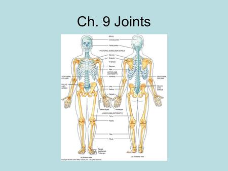 Ch. 9 Joints.