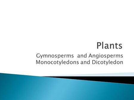 Gymnosperms and Angiosperms Monocotyledons and Dicotyledon
