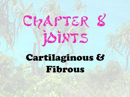 Cartilaginous & Fibrous. Also called articulation Place where two or more bones meet.