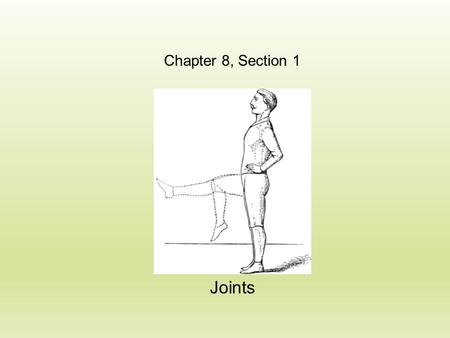 Chapter 8, Section 1 Joints.