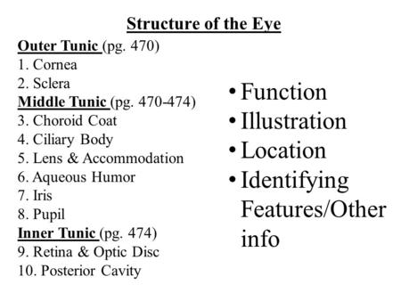 Structure of the Eye Outer Tunic (pg. 470) 1. Cornea 2. Sclera Middle Tunic (pg. 470-474) 3. Choroid Coat 4. Ciliary Body 5. Lens & Accommodation 6. Aqueous.