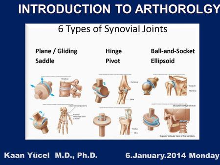Kaan Yücel M.D., Ph.D. 6.January.2014 Monday. 2 1.1. CLASSIFICATION OF JOINTS 1.2. STABILITY OF JOINTS 1.3. JOINT VASCULATURE AND INNVERVATION.