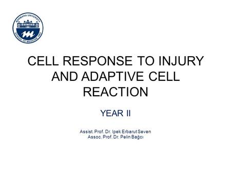 CELL RESPONSE TO INJURY AND ADAPTIVE CELL REACTION