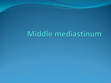 Middle mediastinum.