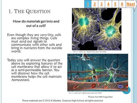 1. T HE Q UESTION How do materials get into and out of a cell? Even though they are very tiny, cells are complex living things. Cells must send out signals.