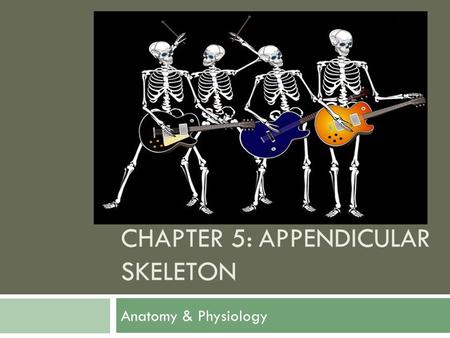Chapter 5: appendicular skeleton