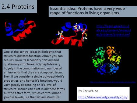 2.4 Proteins Essential idea: Proteins have a very wide range of functions in living organisms. http://learn.genetics.utah.edu/content/molecules/proteins/protein.swf.