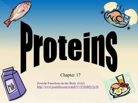 Chapter 17 Protein Functions in the Body (4:02)