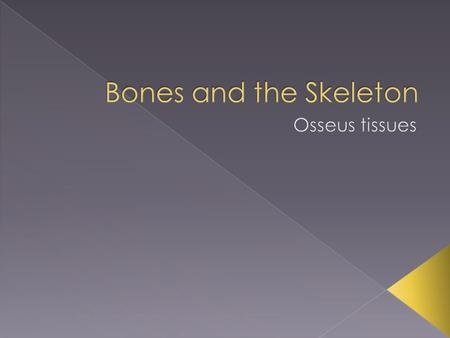 Bones and the Skeleton Osseus tissues.