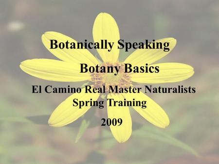 Botanically Speaking Botany Basics El Camino Real Master Naturalists Spring Training 2009.
