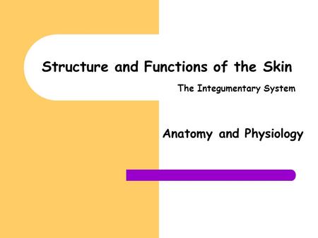 Structure and Functions of the Skin