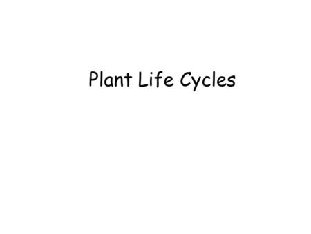 Plant Life Cycles. What makes a plant a plant? And not a... ?Photosynthesis Simply put... Sequence of reactions performed in green plants Light energy.