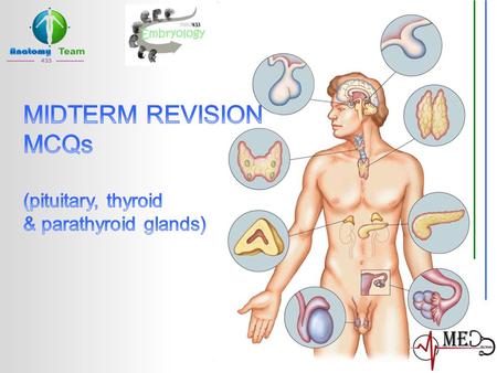 MIDTERM REVISION MCQs (pituitary, thyroid & parathyroid glands)
