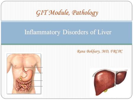Inflammatory Disorders of Liver Inflammatory Disorders of Liver GIT Module, Pathology Rana Bokhary, MD, FRCPC.
