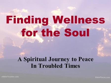 Finding Wellness for the Soul A Spiritual Journey to Peace In Troubled Times.