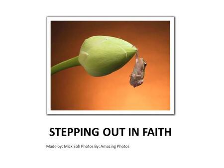 STEPPING OUT IN FAITH Made by: Mick Soh Photos By: Amazing Photos.