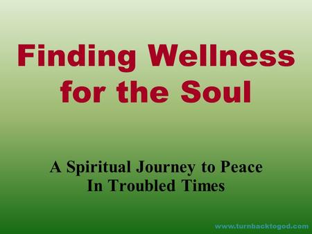 Finding Wellness for the Soul A Spiritual Journey to Peace In Troubled Times www.turnbacktogod.com.