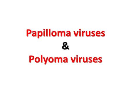 Papilloma viruses & Polyoma viruses