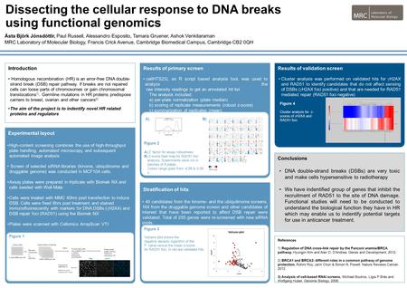 V Dissecting the cellular response to DNA breaks using functional genomics Ásta Björk Jónsdóttir, Paul Russell, Alessandro Esposito, Tamara Gruener, Ashok.