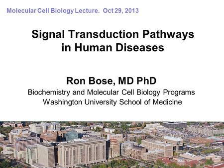 Signal Transduction Pathways in Human Diseases Ron Bose, MD PhD Biochemistry and Molecular Cell Biology Programs Washington University School of Medicine.