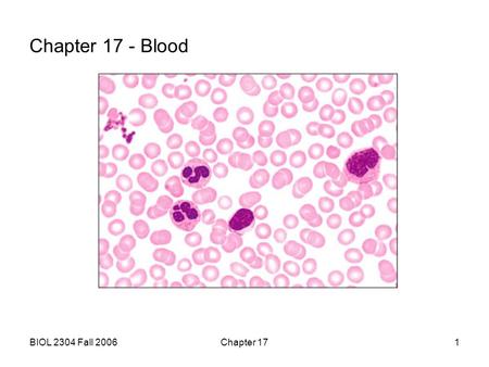 BIOL 2304 Fall 2006Chapter 171 Chapter 17 - Blood.