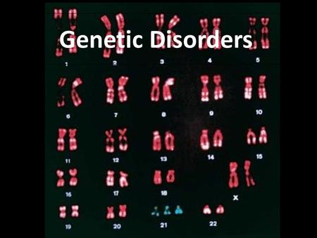Genetic Disorders. 5 Categories Autosomal Dominant Autosomal Recessive Sex-Linked Chromosomal Co-Dominant.