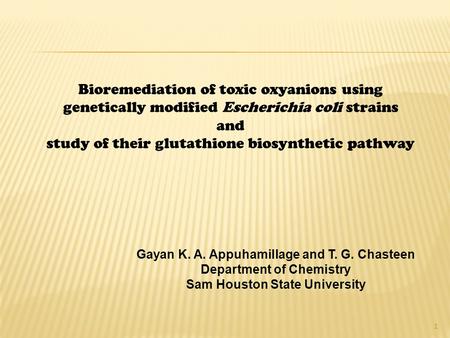 Gayan K. A. Appuhamillage and T. G. Chasteen Department of Chemistry Sam Houston State University 1 Bioremediation of toxic oxyanions using genetically.