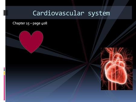 Chapter 15 – page 408 Cardiovascular system Aorta Pulmonary artery Pulmonary Valve Pulmonary vein Left Atrium Mitral Valve Left Ventricle Septum Right.