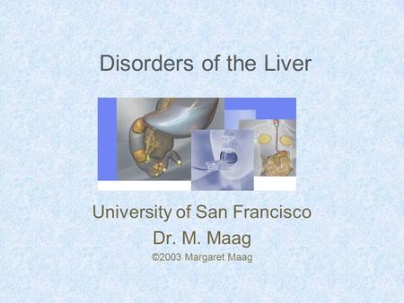 Disorders of the Liver University of San Francisco Dr. M. Maag ©2003 Margaret Maag.