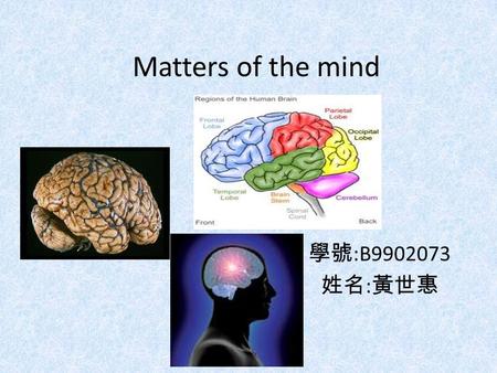 Matters of the mind 學號 :B9902073 姓名 : 黃世惠. Take it easy.