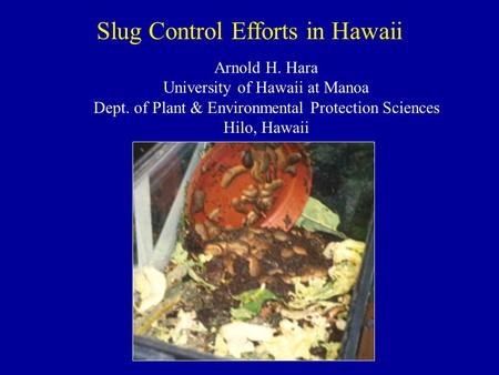 Slug Control Efforts in Hawaii Arnold H. Hara University of Hawaii at Manoa Dept. of Plant & Environmental Protection Sciences Hilo, Hawaii.