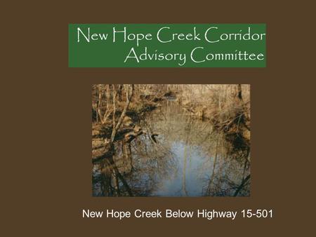 New Hope Creek Below Highway 15-501. Executive Summary The Durham County Inventory of Important Natural Areas, Plants and Wildlife North Carolina Natural.