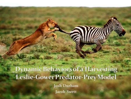 Josh Durham Jacob Swett. Dynamic Behaviors of a Harvesting Leslie-Gower Predator-Prey Model Na Zhang, 1 Fengde Chen, 1 Qianqian Su, 1 and Ting Wu 2 1.