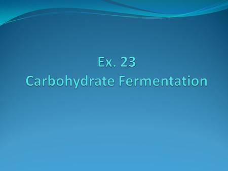 Carbohydrates 1. Monosaccharides glucose, fructose, galactose 2. Disaccharides sucrose, maltose, lactose 3. Polysaccharides starch, glycogen, Agar.