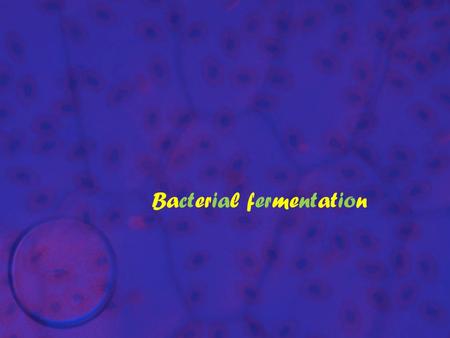 Bacterial fermentation