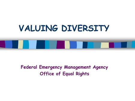 Federal Emergency Management Agency Office of Equal Rights