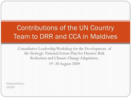 Contributions of the UN Country Team to DRR and CCA in Maldives
