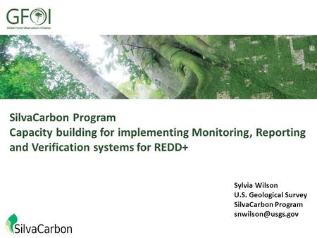 SilvaCarbon Program Capacity building for implementing Monitoring, Reporting and Verification systems for REDD+ Sylvia Wilson U.S. Geological Survey SilvaCarbon.