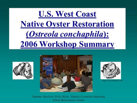 U.S. West Coast Native Oyster Restoration (Ostreola conchaphila): 2006 Workshop Summary Summer Morlock, Polly Hicks, Natalie Cosentino-Manning NOAA Restoration.