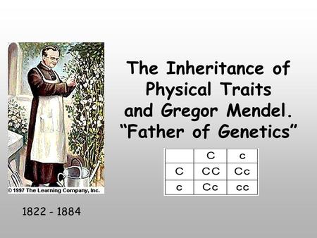 The Inheritance of Physical Traits and Gregor Mendel. “Father of Genetics” 1822 - 1884.
